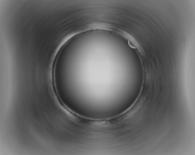 X0000114071339200910131158