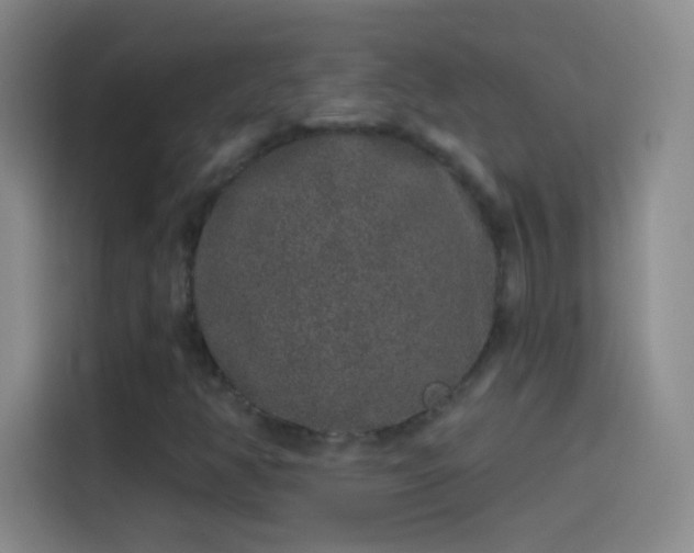 X0000114071350200910131157