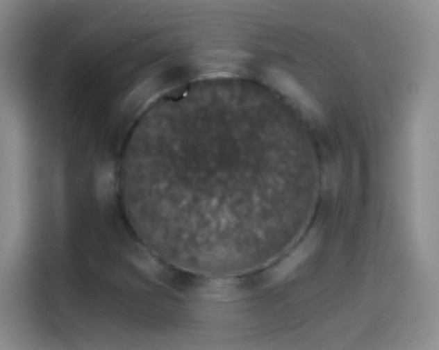 X0000114071353200910131157