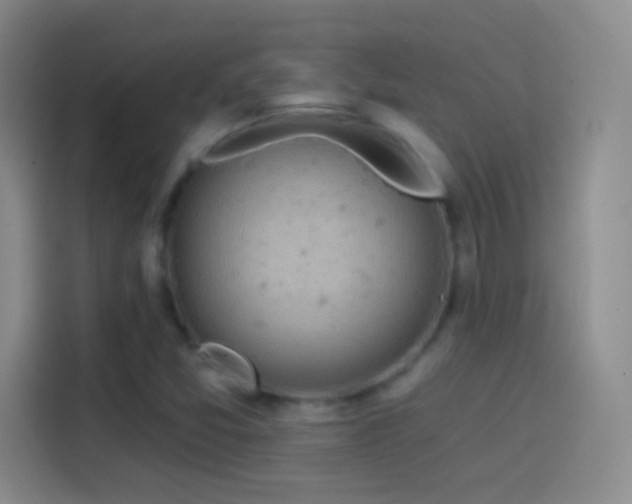 X0000114071357200910131157