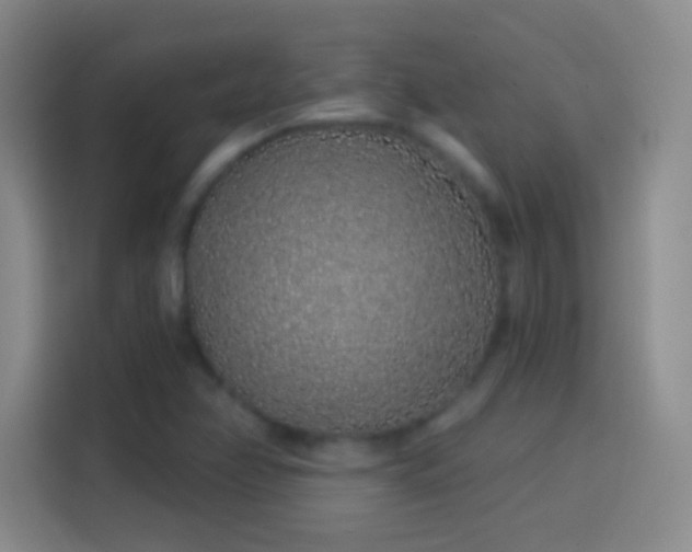 X0000114071358200910131157