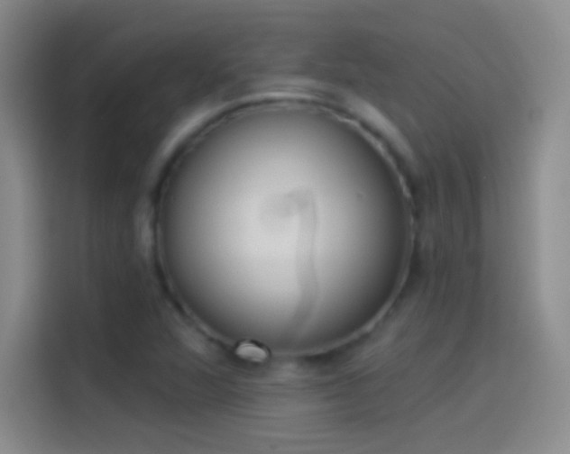 X0000114071360200910131157