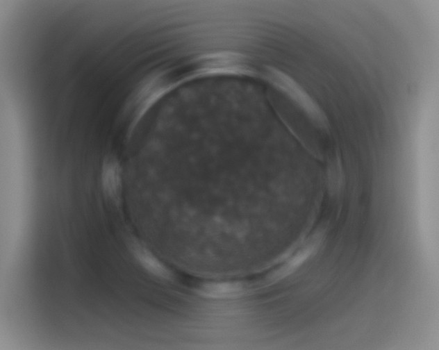 X0000114071369200910131157