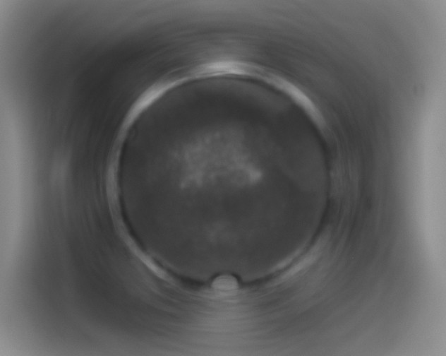 X0000114071373200910131157