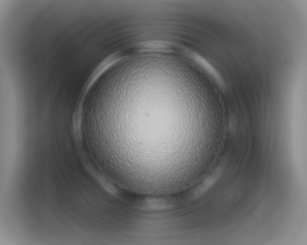 X0000114071378200910131157