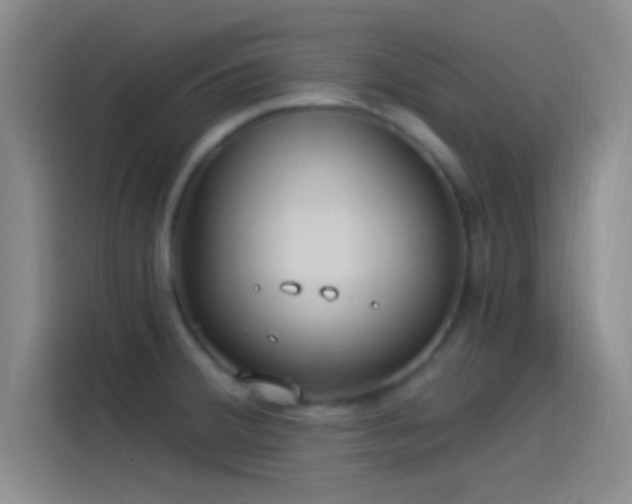 X0000114071380200910131157