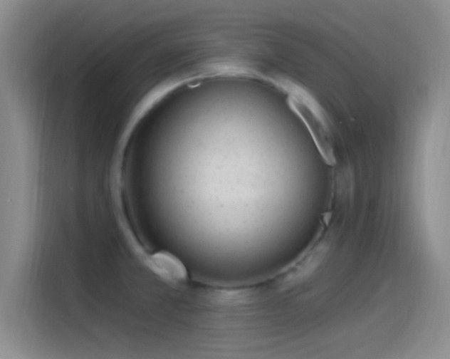 X0000114071381200910131157