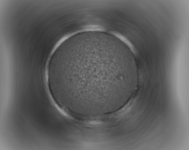 X0000114071383200910131157