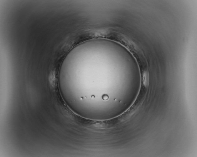 X0000114071395200910131156