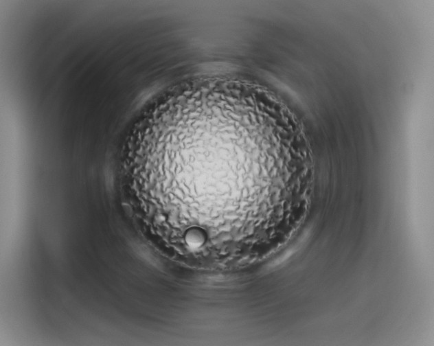 X0000114071401200910131156