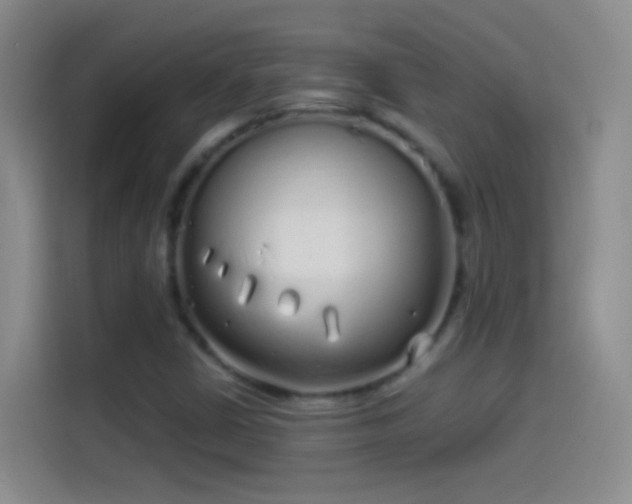 X0000114071402200910131156