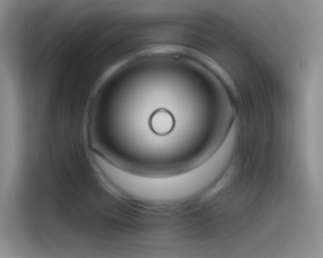 X0000114071417200910131156