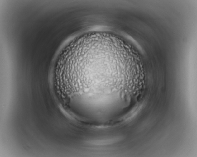 X0000114071421200910131156