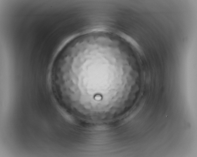 X0000114071423200910131156