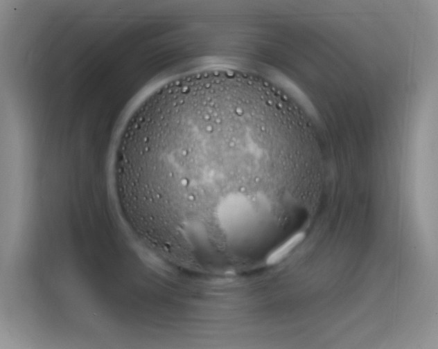 X0000114071427200910131156