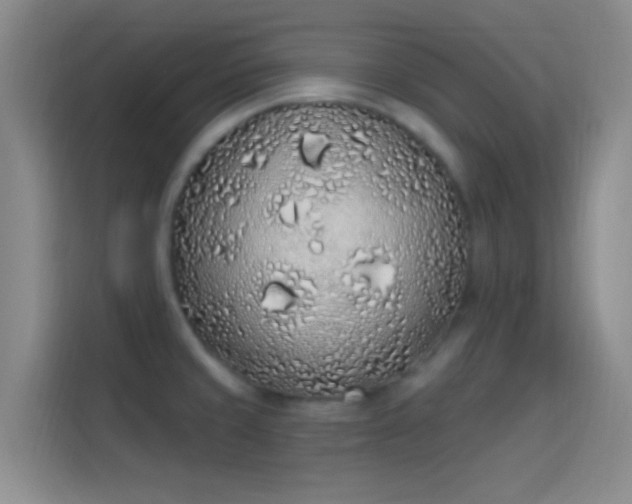 X0000114071429200910131156