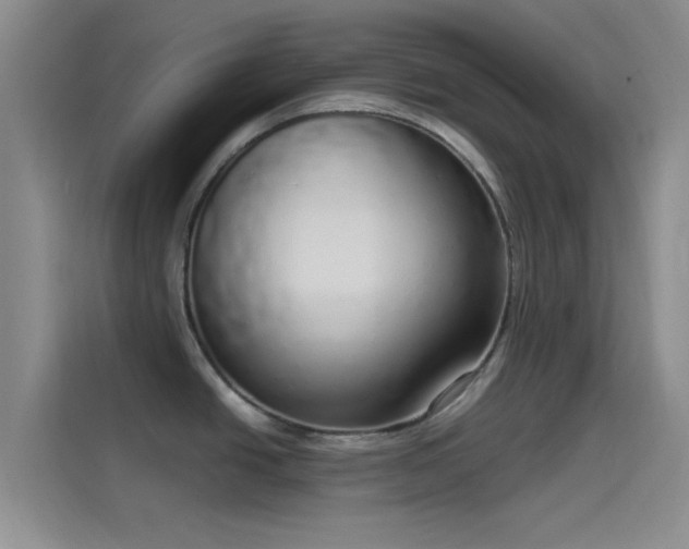 X0000114071438200910131157