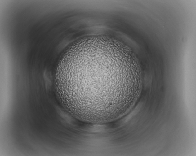 X0000114071449200910131156