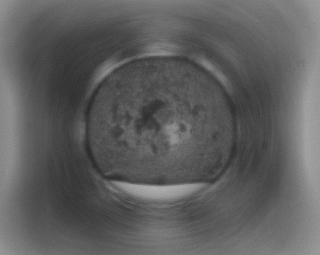 X0000114071459200910131156