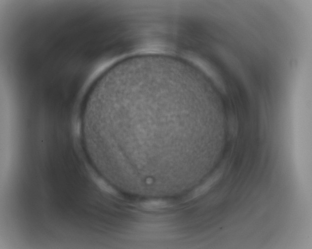 X0000114071462200910131156