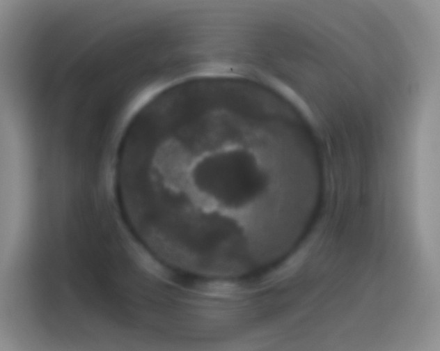 X0000114071463200910131156