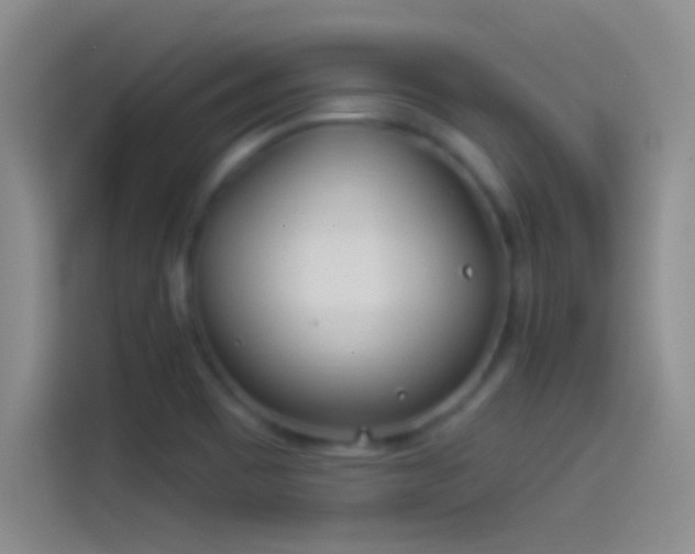 X0000114071465200910131156