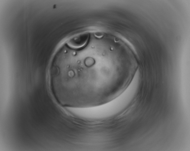 X0000114071467200910131156