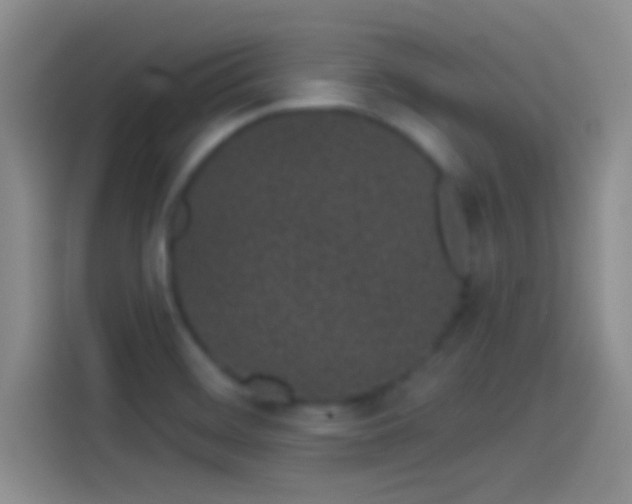 X0000114071468200910131156