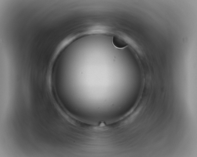 X0000114071469200910131156