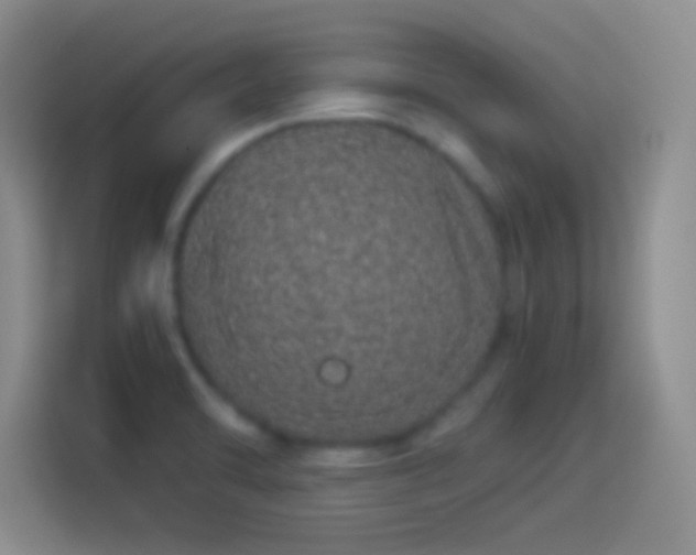 X0000114071470200910131156