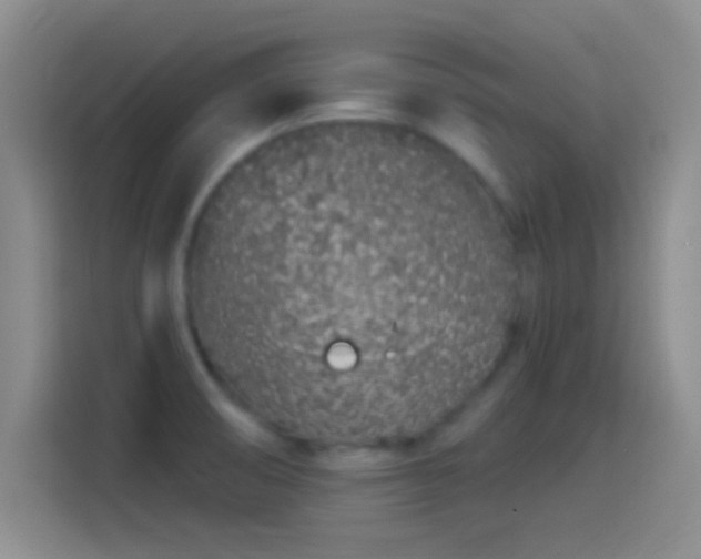 X0000114071474200910131156