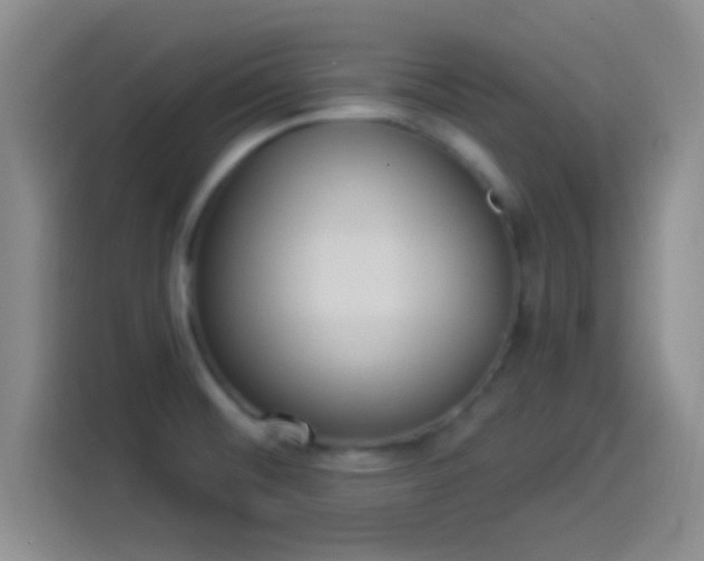 X0000114071476200910131156