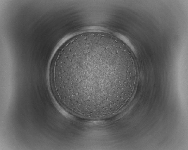 X0000114071482200910131155