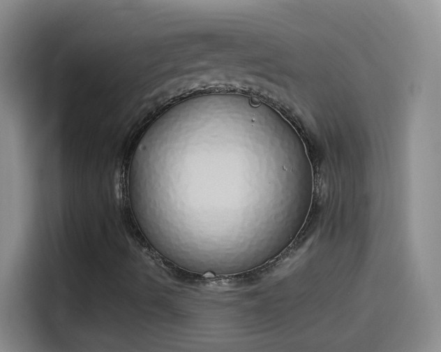 X0000114071490200910131155