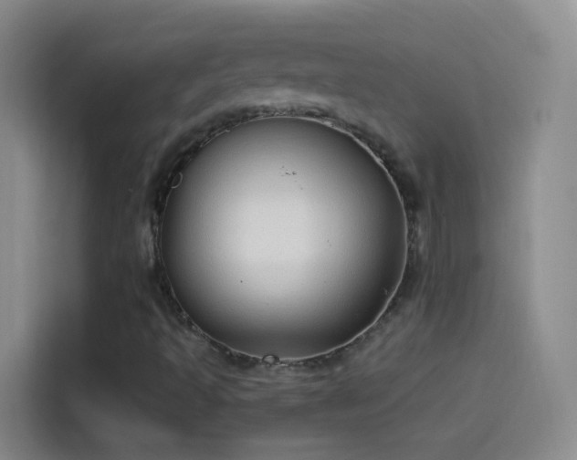 X0000114071493200910131155