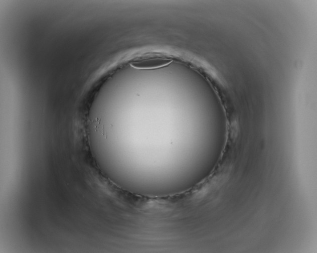 X0000114071496200910131155