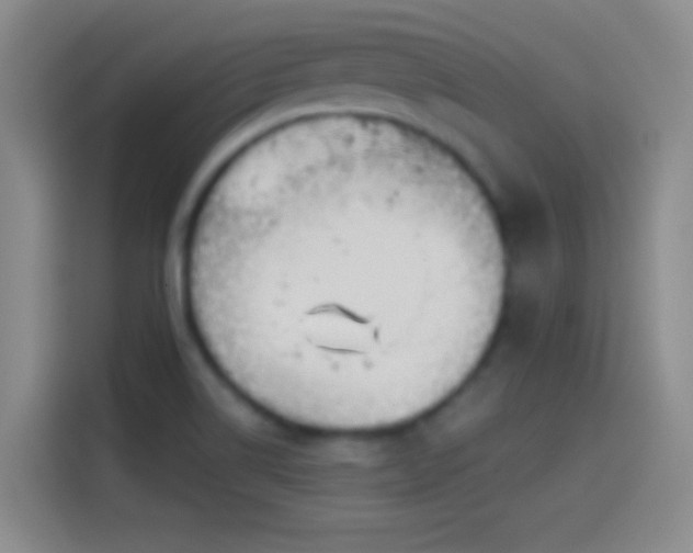 X0000114071514200910131155