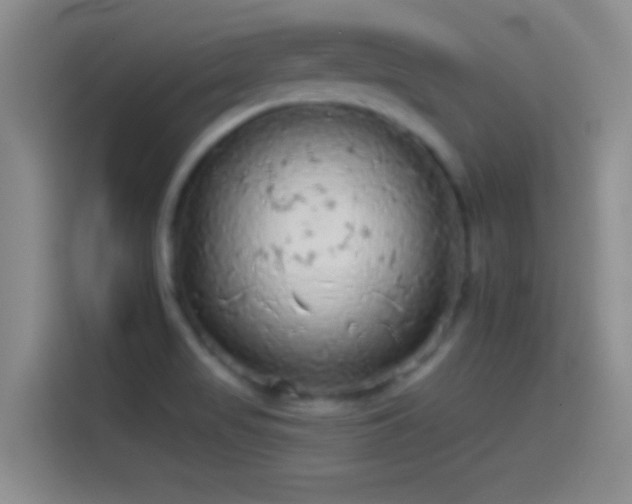 X0000114071517200910131155