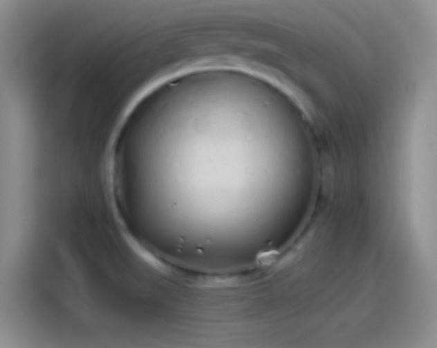 X0000114071519200910131155