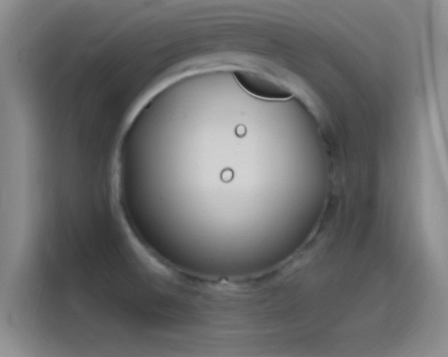 X0000114071524200910131155