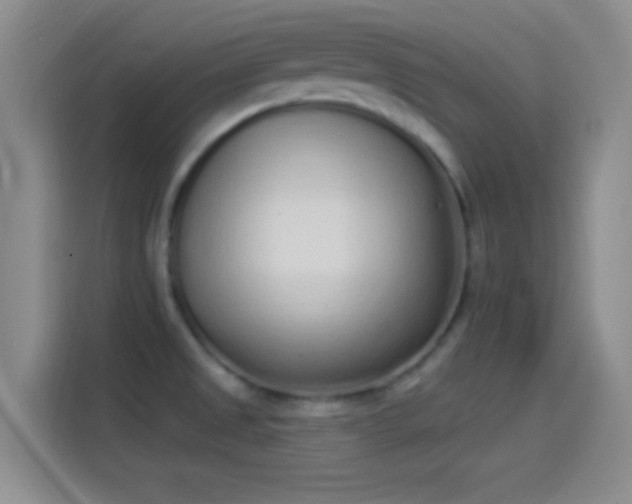 X0000114071525200910131155