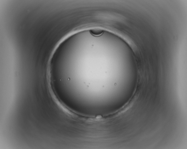 X0000114071526200910131155