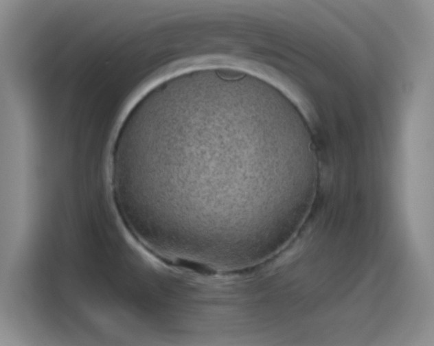 X0000114071527200910131155