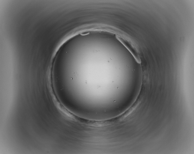 X0000114071530200910131155