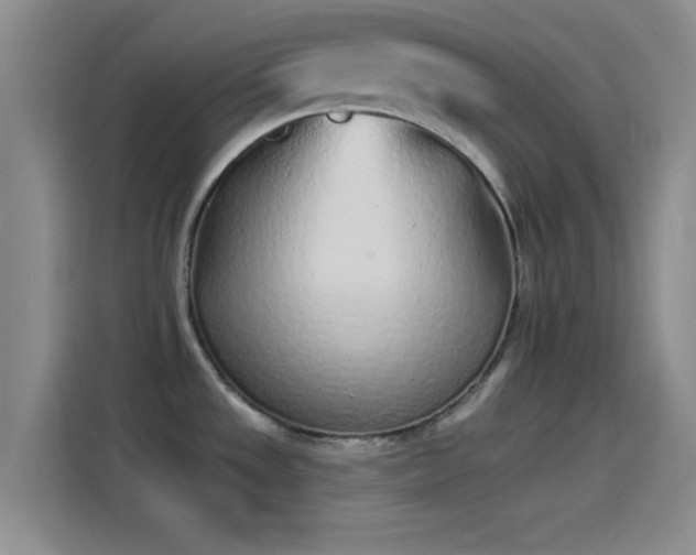 X0000114071533200910131155