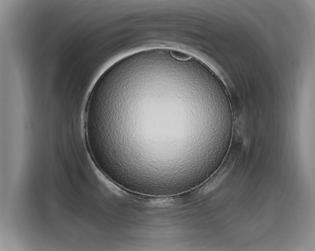 X0000114071535200910131155