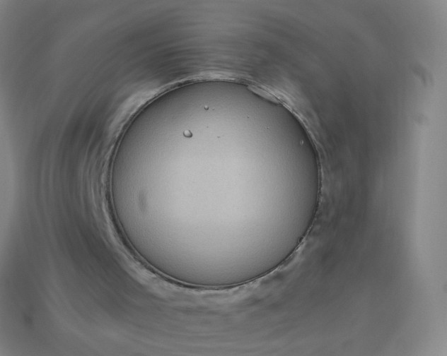 X0000114070001200910191531