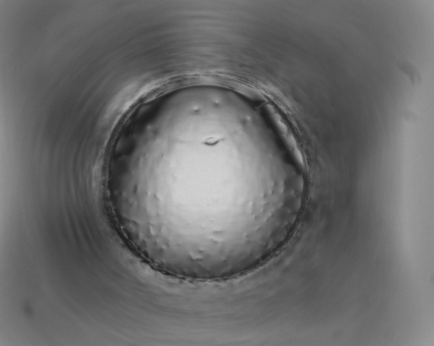 X0000114070002200910191531