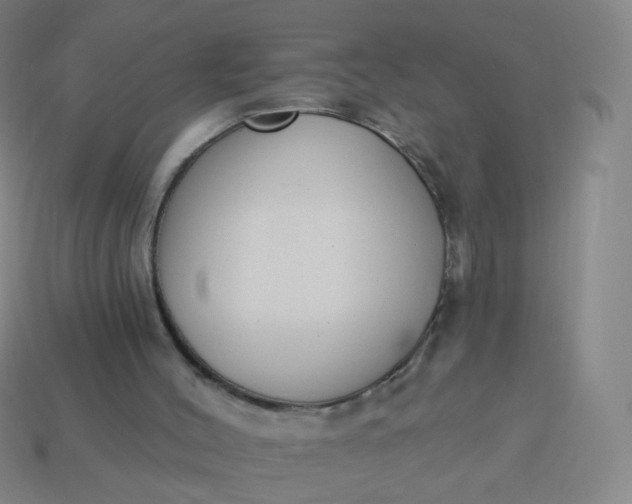 X0000114070004200910191531