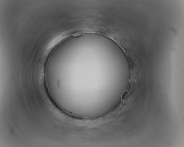 X0000114070005200910191531